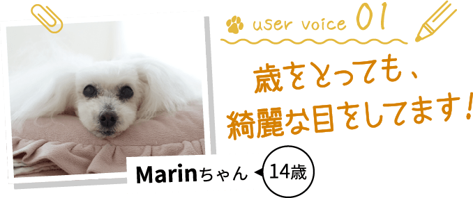 marinちゃん