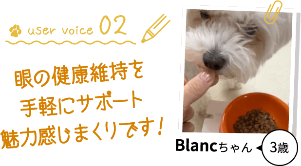 blancちゃん