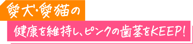 愛犬・愛猫の健康を維持し、ピンクの歯茎をKEEP！