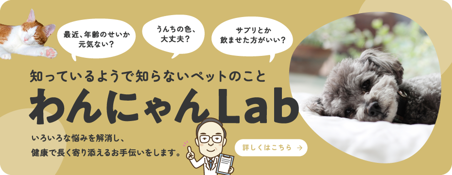 わんにゃんLab