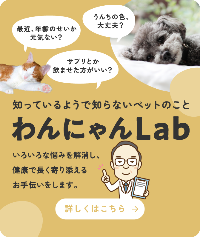 わんにゃんLab