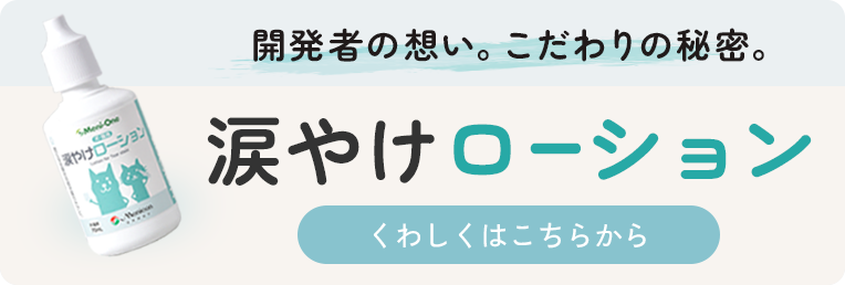 concept_page_banner